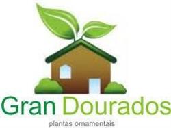 Mudas Gran Dourados Ltda - Cabeceira Alegre