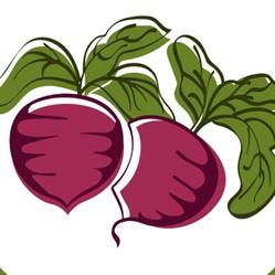 Vegan Vegan