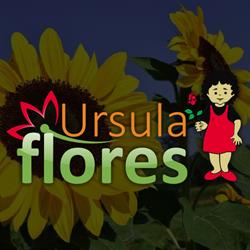 Floricultura Ursula Flores Tatuapé - As melhores flores os melhores Presentes