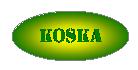 Koska Comércio E Refrigeração - Parada De Lucas