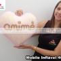 Enviado por visitante em 01/11/2017 - Mobile inflavel promocional