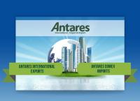Site do Antares Comércio E Serviços Ltda