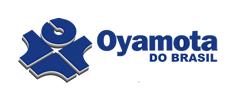 Ferro e Aço
