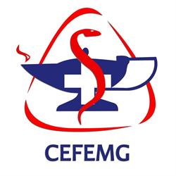 Cefemg-Centro de Formacao Em Enfermagem de Minas Gerais Ltda