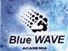 Academia Blue Wave Ltda