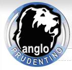 Colégio Anglo Prudentino