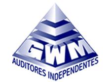 G W M Auditores E Consultores S/c
