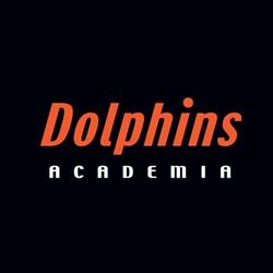 Dolphins Academia