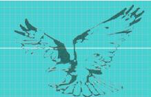 Eagle Eye Idiomas