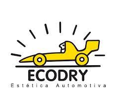 Ecodry Servicos Ltda