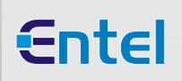 Entel Comércio E Representações Ltda Geral