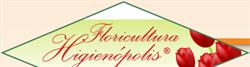 Floricultura Higienópolis - Higienópolis