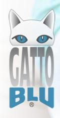 Gatto Blu