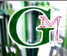Gm Galvanostegia Tecnica Ltda