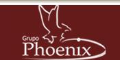 Grupo Phoenix Telecomunicações E Informática Ltda