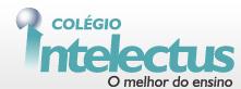 Colégio Intelectus