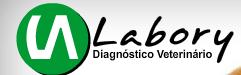 Labory Diagnóstico Veterinário