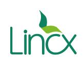 Lincx Serviços De Saúde