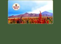 Site do Uyuni / Quinua Real Brasil