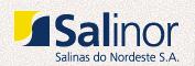 Salinor - Salinas Do Nordeste S/a