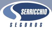 Serricchio S/c Ltda Corretoras De Seguros - Pinheiros