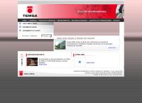 Site do Temsa Do Brasil Ltda