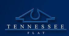 Hotel Tennessee Flat