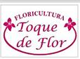 Floricultura Toque De Flor Ltda Me