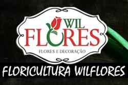 Wil Flores Catanduva