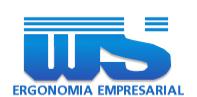 Ws Ergonomia Saude Ocupacional