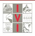 Ivi - Instituto Veterinário De Imagem