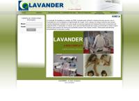 Site do Lavander Lavanderia