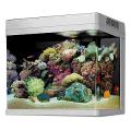 Aquario Red Sea Max