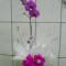 Orquídea Falenópoles