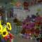 Vitrine Priscila Flores