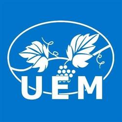 União Espírita Mineira
