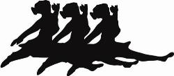 Academia de Danca Mary Passos Ltda Me