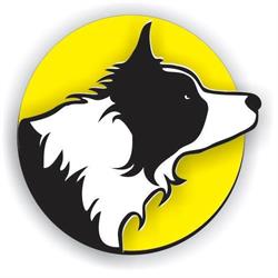 Garcia Dog Show Adestramento