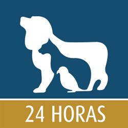Hospital Veterinário de Macaé