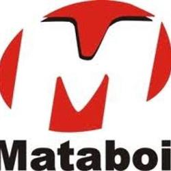 Frigorífico Mataboi S/a
