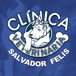 Clínica Veterinária Salvador Felis Ltda