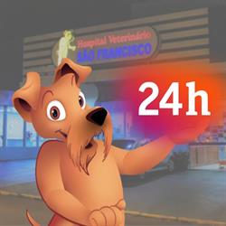 Clínica Veterinária 24 Horas São Francisco De Assis