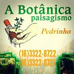 A Botânica Paisagismo