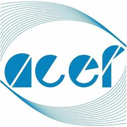 Acef Assessoria Contábil Econômica e Fiscal Ltda