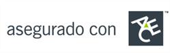 Ace Seguradora S/a