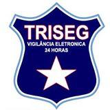 Triseg Segurança e Informática Ltda Me