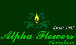 Alpha Flowers