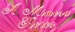 A Mimosa Flores Ltda