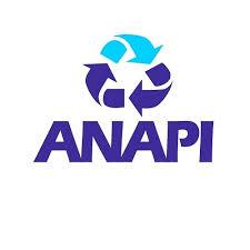Anapi - Associação Nacional de Assistência Pública