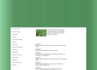 Site do Apsemg - Associação Dos Produtores de Sementes Do Estado de Minas Gerais